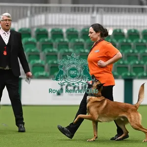 Obedience Obedience