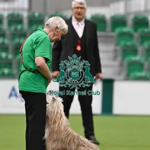 Obedience Obedience