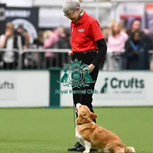 Obedience Obedience
