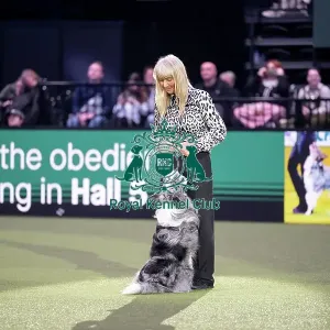 Obedience Champion Display