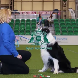 Obedience Champion (Dog) Lorna with her Border Collie Lenny