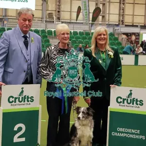 Obedience Championship Bitches - 2nd Place, Crufts 2026<br> Obedience Championship Bitches - 2nd Place, Crufts 2026
