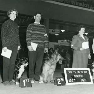 Collections: Crufts Historical