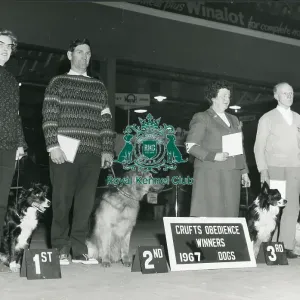 Obedience Winner at Crufts 1967 Obedience Winner at Crufts 1967
