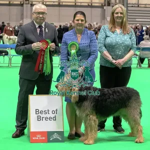 Otterhound - Best of Breed, Crufts 2026<br> Otterhound - Best of Breed, Crufts 2026