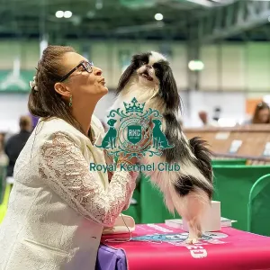 Owner with Japanese Chin Owner with Japanese Chin
