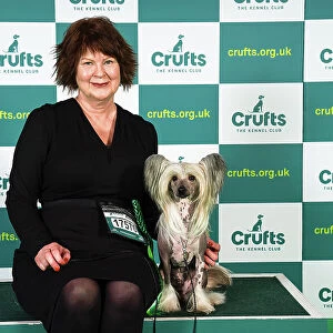 Pernilla Johansson from Sweden, with Walter, a Chinese Crested, which was the Best of Breed winner today (Sunday 12. 03. 23), the last day of Crufts 2023, at the NEC Birmingham