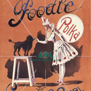 Poodle Polka