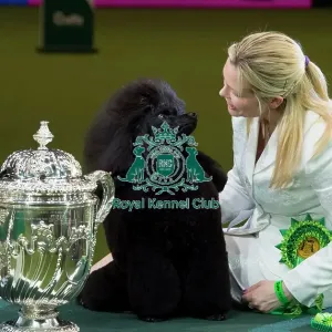 Reserve Best in Show Winner