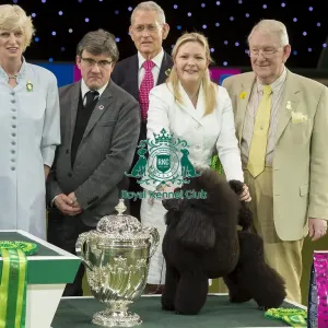 Reserve Best in Show Winner