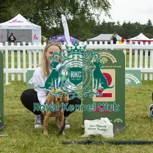 Scruffts 2023 regional round DogFest Tatton Park, Manchester Scruffts 2023 regional round DogFest Tatton Park, Manchester