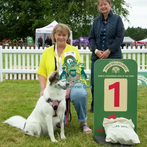 Scruffts 2023 regional round DogFest Tatton Park, Manchester Scruffts 2023 regional round DogFest Tatton Park, Manchester