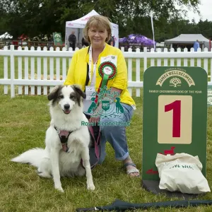 Scruffts 2023 regional round DogFest Tatton Park, Manchester Scruffts 2023 regional round DogFest Tatton Park, Manchester