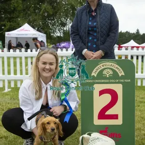 Scruffts 2023 regional round DogFest Tatton Park, Manchester Scruffts 2023 regional round DogFest Tatton Park, Manchester