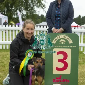 Scruffts 2023 regional round DogFest Tatton Park, Manchester Scruffts 2023 regional round DogFest Tatton Park, Manchester