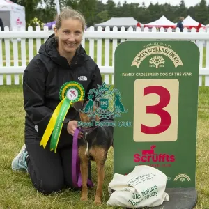 Scruffts 2023 regional round DogFest Tatton Park, Manchester Scruffts 2023 regional round DogFest Tatton Park, Manchester