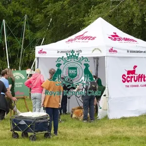 Scruffts 2023 regional round DogFest Tatton Park, Manchester Scruffts 2023 regional round DogFest Tatton Park, Manchester