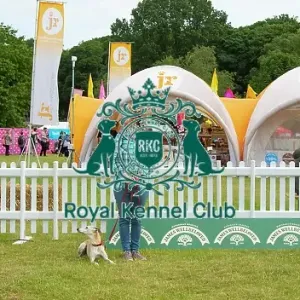 Scruffts 2023 regional round DogFest Tatton Park, Manchester Scruffts 2023 regional round DogFest Tatton Park, Manchester