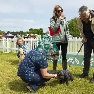 Scruffts 2023 regional round DogFest Tatton Park, Manchester Scruffts 2023 regional round DogFest Tatton Park, Manchester