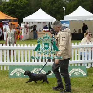 Scruffts 2023 regional round DogFest Tatton Park, Manchester Scruffts 2023 regional round DogFest Tatton Park, Manchester