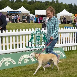 Scruffts 2023 regional round DogFest Tatton Park, Manchester Scruffts 2023 regional round DogFest Tatton Park, Manchester