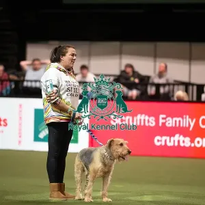 Scruffts competition winner Diesel, a 13-year-old Airedale Terrier/Labrador cross owned by Claire Whitehead Scruffts competition winner Diesel, a 13-year-old Airedale Terrier/Labrador cross owned by Claire Whitehead