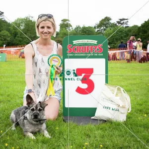 Collections: Scruffts