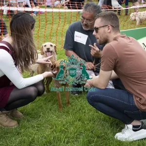 Scruffts Essex Hylands May 26, 2019