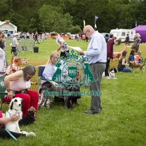 Scruffts Essex Hylands May 26, 2019