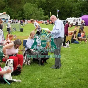 Scruffts Essex Hylands May 26, 2019