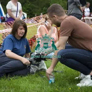 Scruffts Essex Hylands May 26, 2019