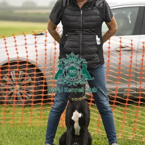 Scruffts Family Crossbreed of the Year competition All About Dogs Cornwall 22/09/24
