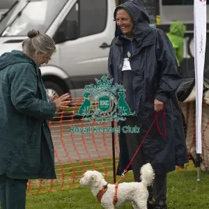 Scruffts Family Crossbreed of the Year competition All About Dogs Cornwall