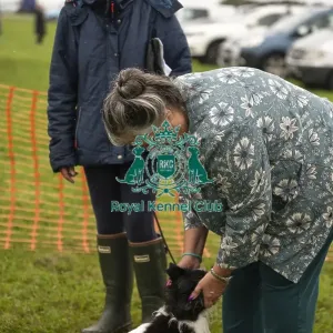 Scruffts Family Crossbreed of the Year competition All About Dogs Cornwall