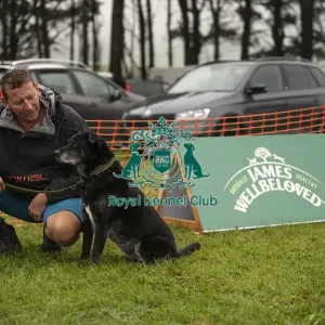 Scruffts Family Crossbreed of the Year competition All About Dogs Cornwall