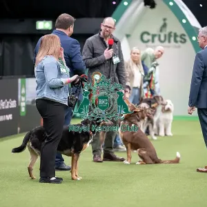 Scruffts final