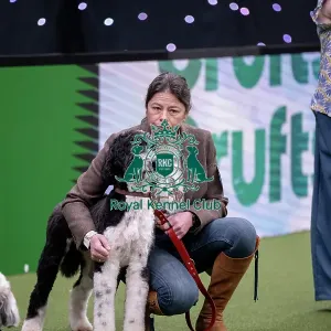 Scruffts final