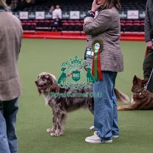 Scruffts final