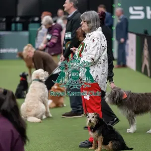 Scruffts final