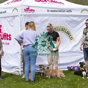 Scruffts Hylands Park