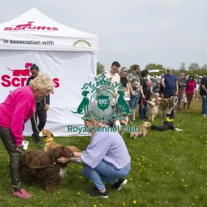 Scruffts Hylands Park