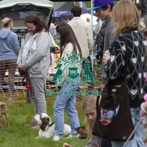 Scruffts Hylands Park