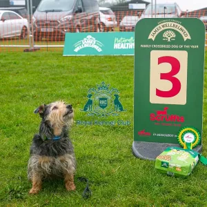 Scruffts Newark 23rd April 2023