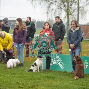 Scruffts Newark 23rd April 2023