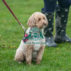 Scruffts Newark 23rd April 2023