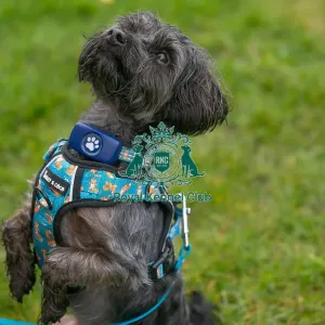 Scruffts Newark 23rd April 2023