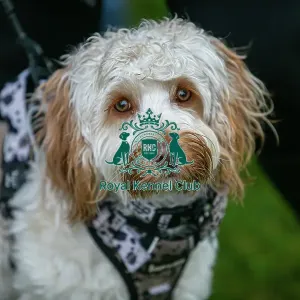 Scruffts Newark 23rd April 2023
