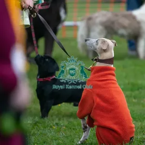 Scruffts Newark 23rd April 2023