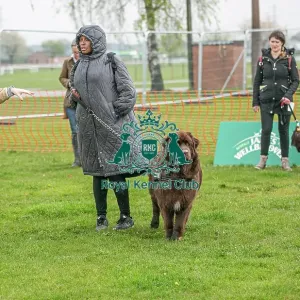Scruffts Newark 23rd April 2023