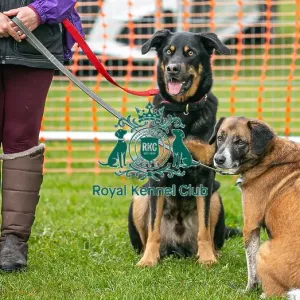 Scruffts Newark 23rd April 2023